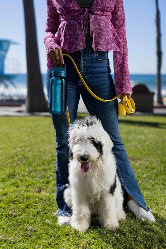 LifeStraw Go Series – BPA-Free Water Filter Bottle for Travel and Everyday use removes Bacteria, parasites and microplastics, Improves Taste
